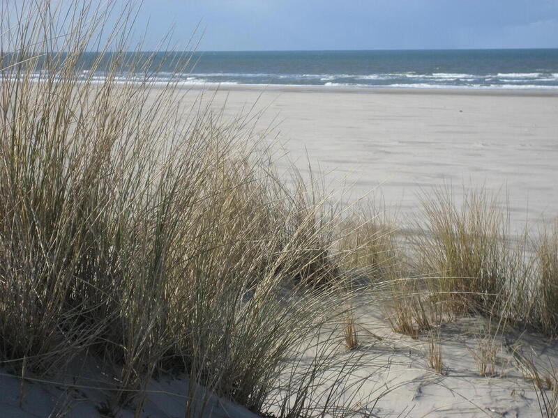 Not far away from the north sea beach, the Ringhotel Residenz in Wittmund, 4-star hotel on the North Sea 